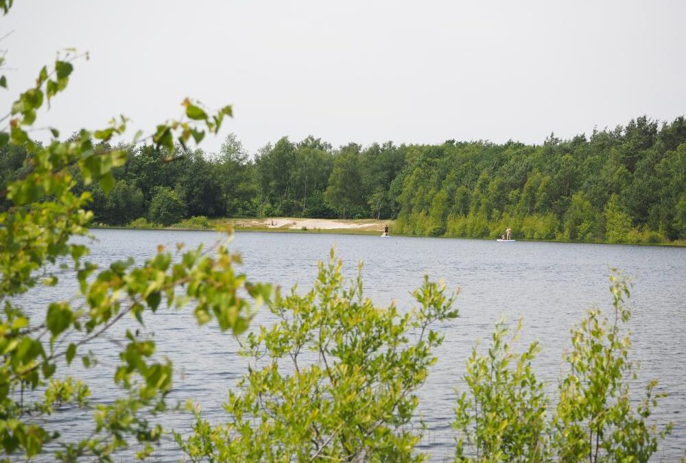 Subsidie om water vast te houden op de zandgronden