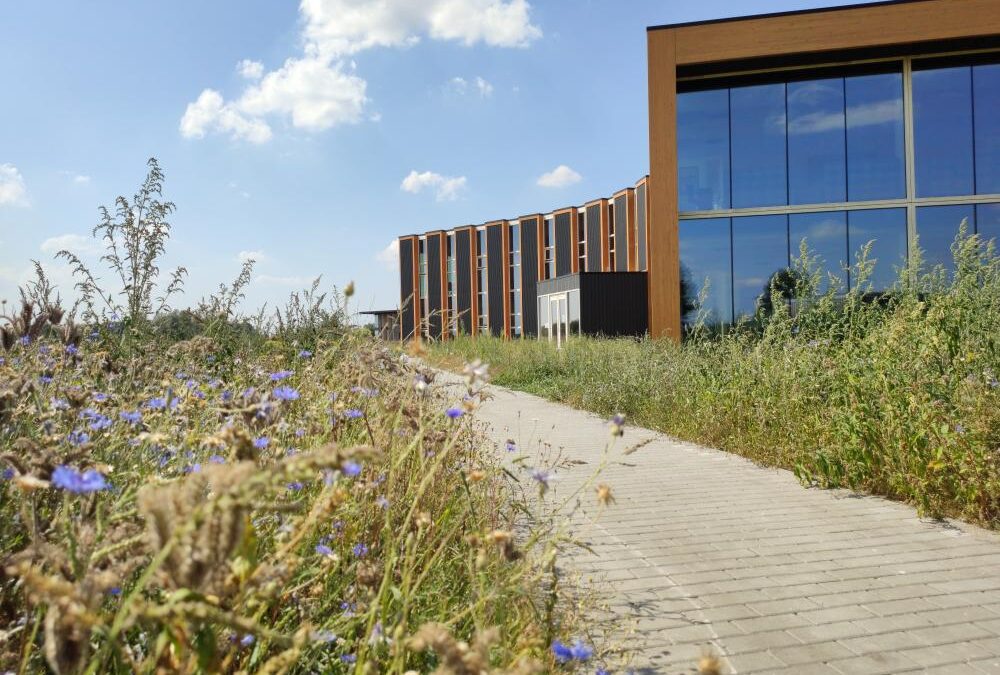 Voorgenomen verhuur Biosintrum in Oosterwolde