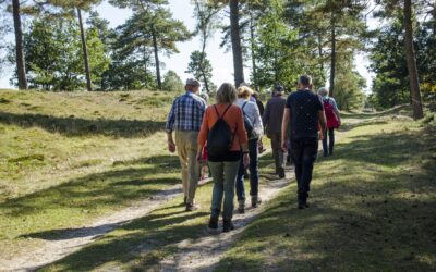 Pinksterwandeling in het Drents-Friese Wold