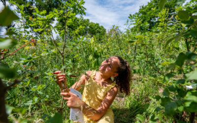 2700 Friese leerlingen doen mee aan 1e IVN Week van de Natuur