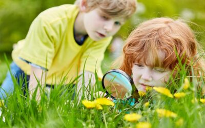 Biodiversiteitsdag in het Leeuwarder bos