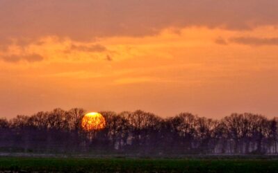 Fotografeer en meer, Evertsbos bij avondlicht