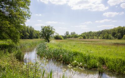 Door het stroomdal van het Oudemolensche diep