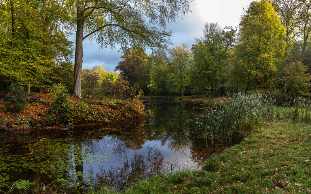 Kronkelende laantjes en sierlijke vijvers op Landgoed de Braak