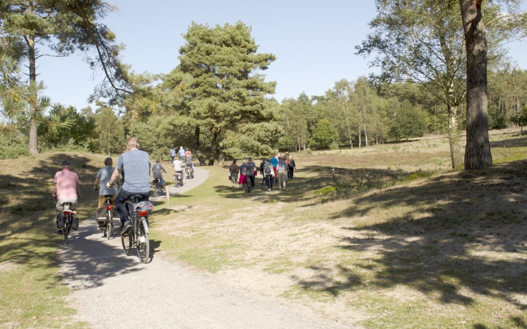 Fietsen in het Drents-Friese Wold