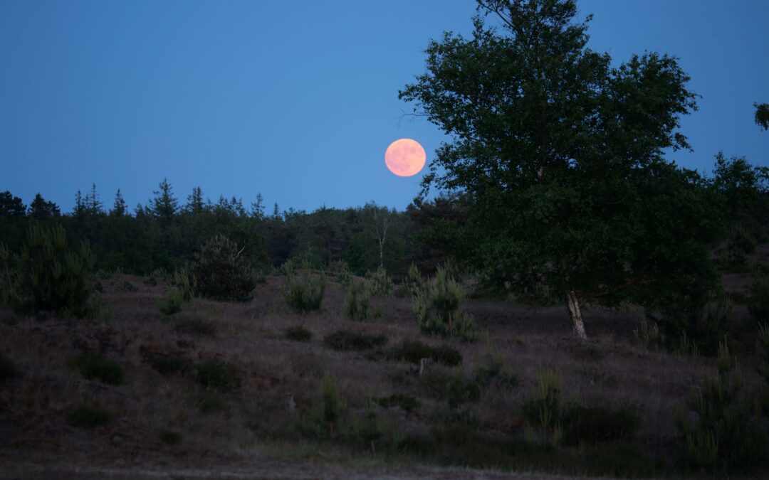 Supermaan in het Drents-Friese Wold   