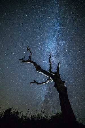 Ervaar de duisternis in Nationaal Park Drents-Friese Wold