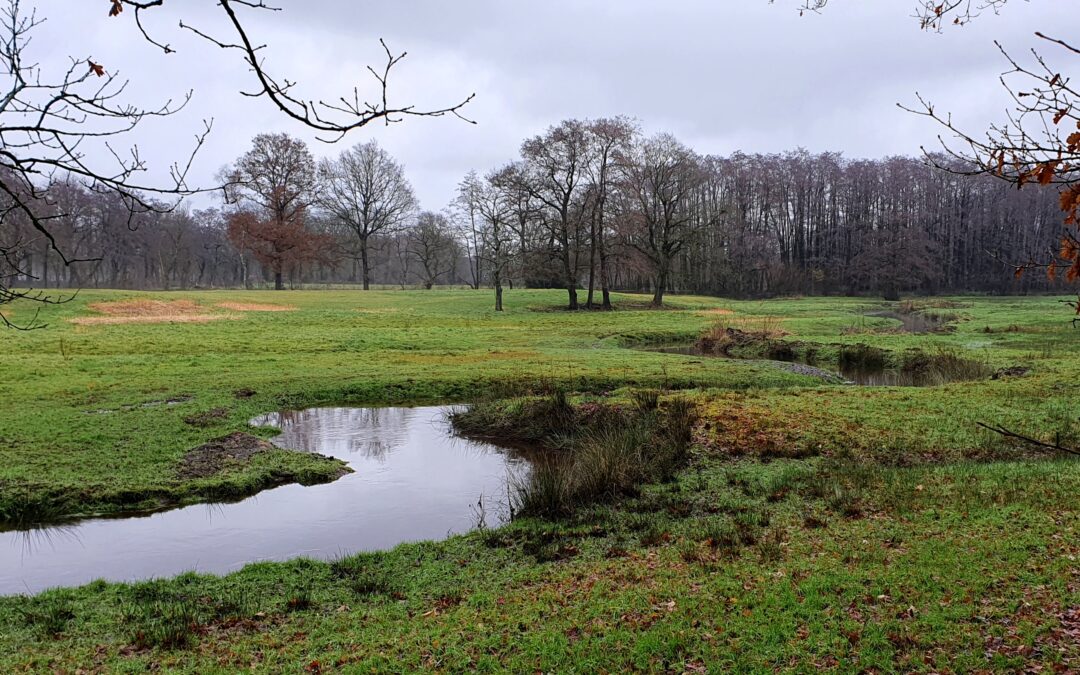 Gagels, siepels en een slingerende beek